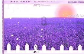 如何修剪文竹游戏画面